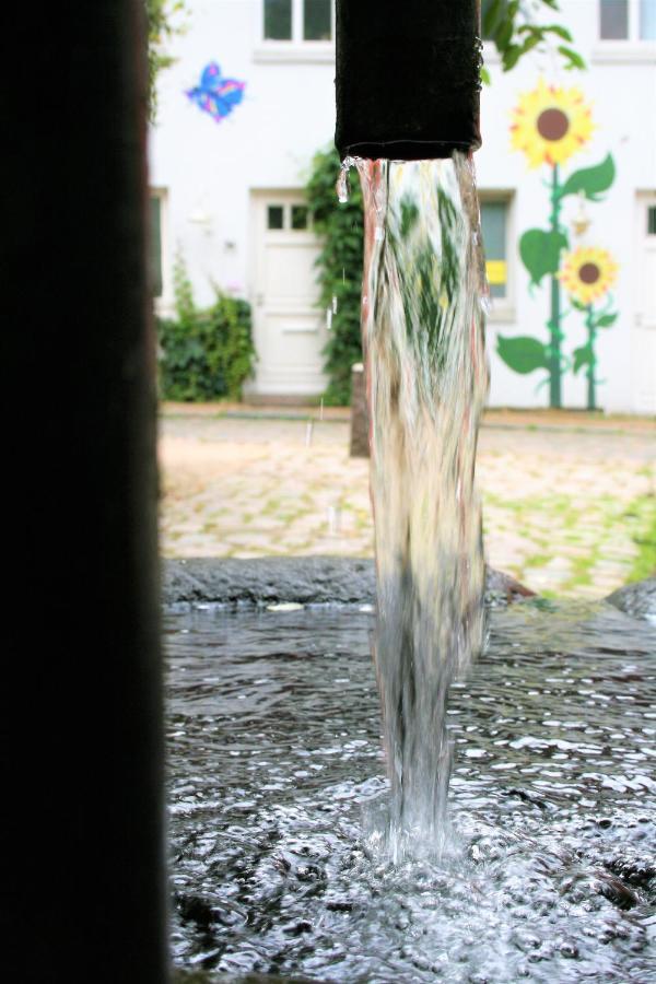 Zentrale Ferienwohnung Anker Im Sonnenblumenhaus Flensburg Zewnętrze zdjęcie